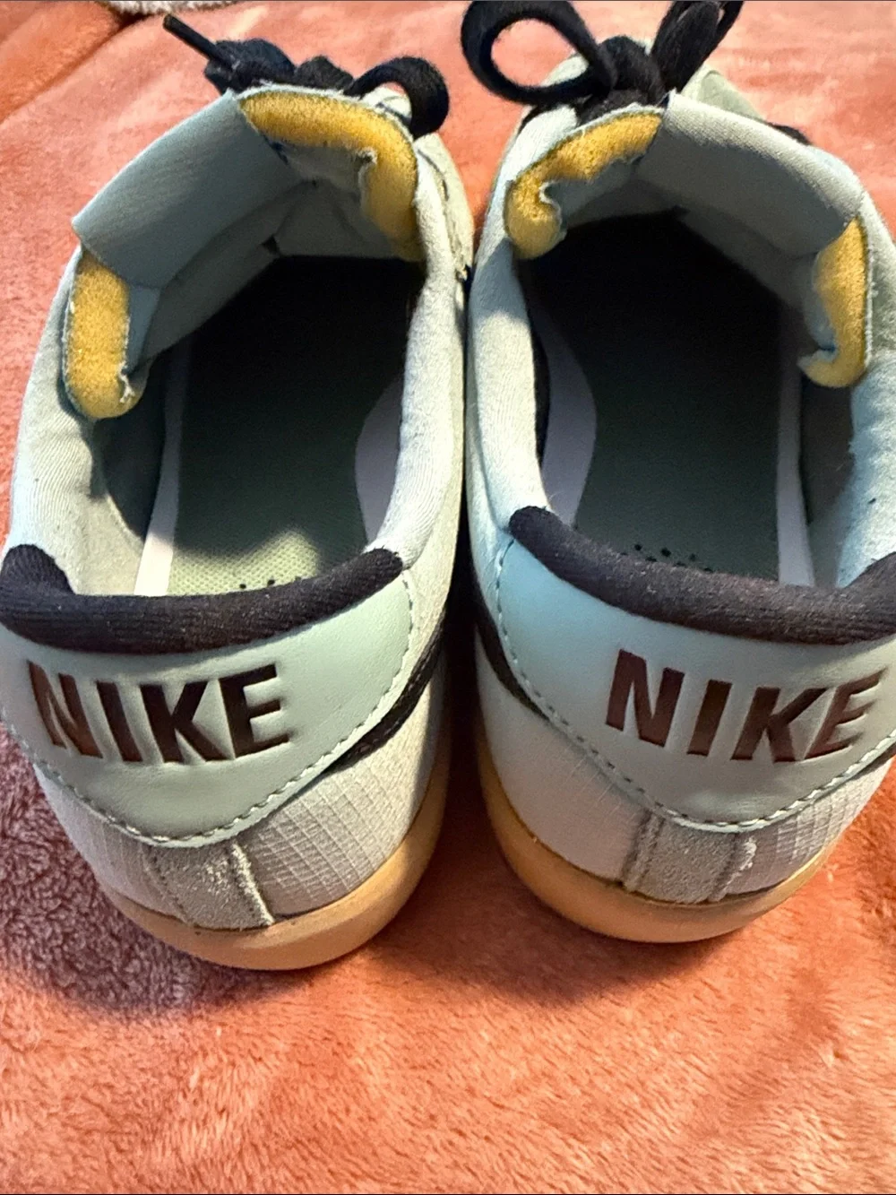 Nike sb bruin